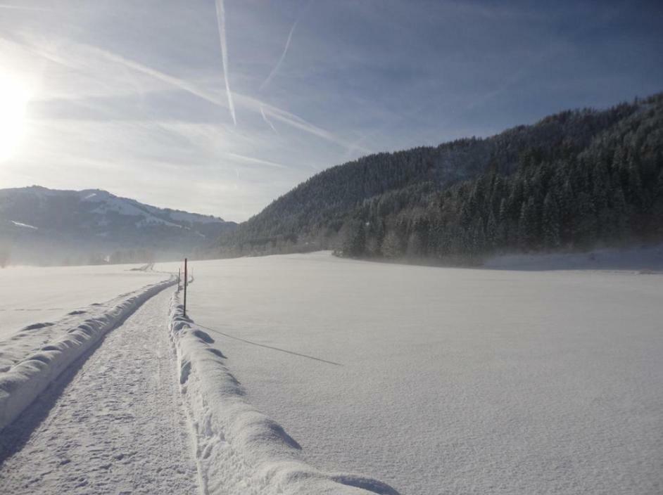Apartment Streifblick Reith bei Kitzbühel Dış mekan fotoğraf