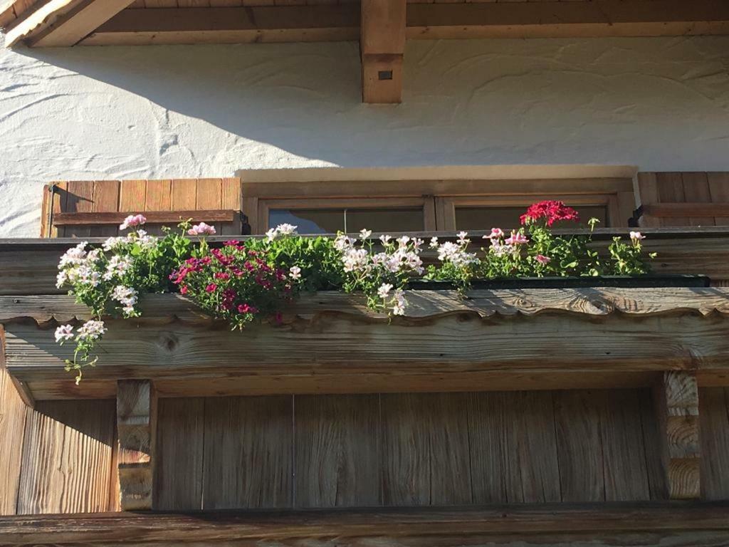 Apartment Streifblick Reith bei Kitzbühel Dış mekan fotoğraf